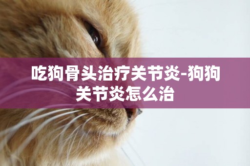 吃狗骨頭治療關節炎-狗狗關節炎怎么治