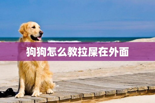 狗狗怎么教拉屎在外面