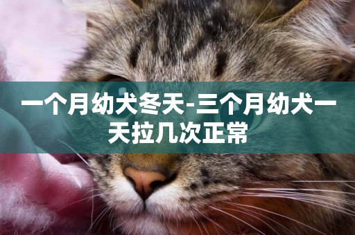 一個月幼犬冬天-三個月幼犬一天拉幾次正常