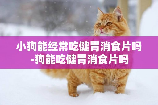 小狗能經常吃健胃消食片嗎-狗能吃健胃消食片嗎
