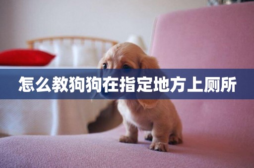 怎么教狗狗在指定地方上廁所