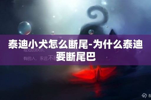 泰迪小犬怎么斷尾-為什么泰迪要斷尾巴