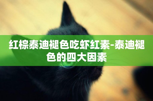 紅棕泰迪褪色吃蝦紅素-泰迪褪色的四大因素