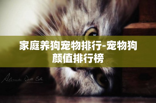 家庭養狗寵物排行-寵物狗顏值排行榜