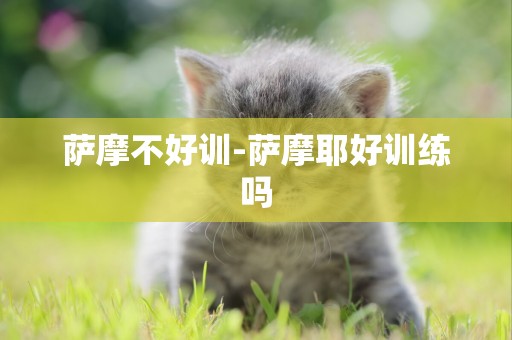 薩摩不好訓-薩摩耶好訓練嗎