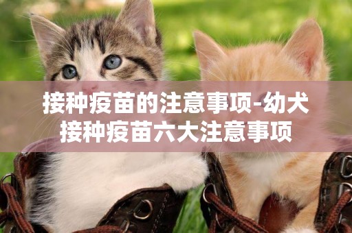 接種疫苗的注意事項-幼犬接種疫苗六大注意事項
