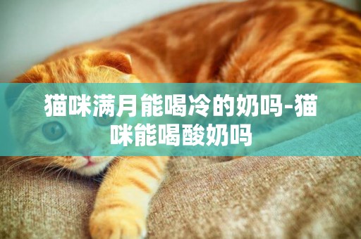 貓咪滿月能喝冷的奶嗎-貓咪能喝酸奶嗎