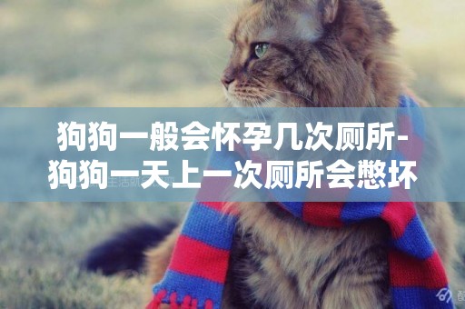 狗狗一般會懷孕幾次廁所-狗狗一天上一次廁所會憋壞嗎