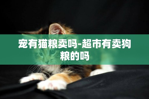 寵有貓糧賣嗎-超市有賣狗糧的嗎