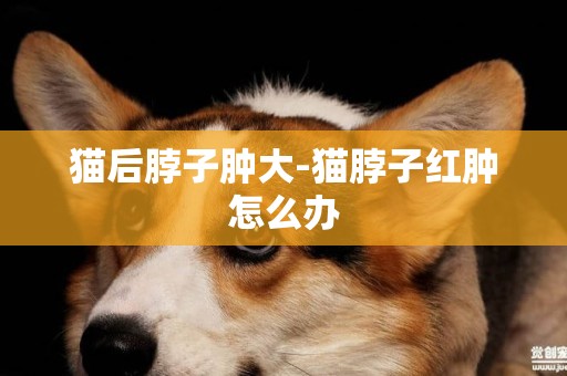 貓后脖子腫大-貓脖子紅腫怎么辦