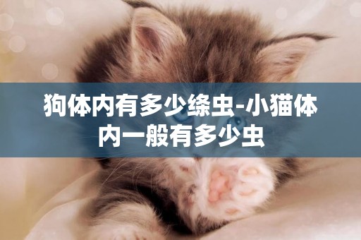 狗體內有多少絳蟲-小貓體內一般有多少蟲