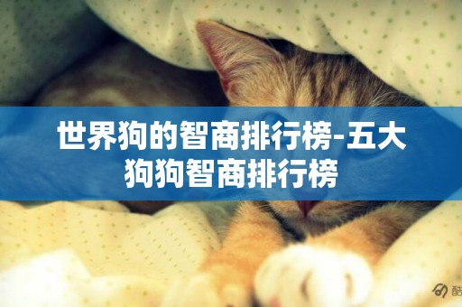 世界狗的智商排行榜-五大狗狗智商排行榜