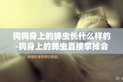 狗狗身上的蜱蟲長什么樣的-狗身上的蜱蟲直接拿掉會怎樣