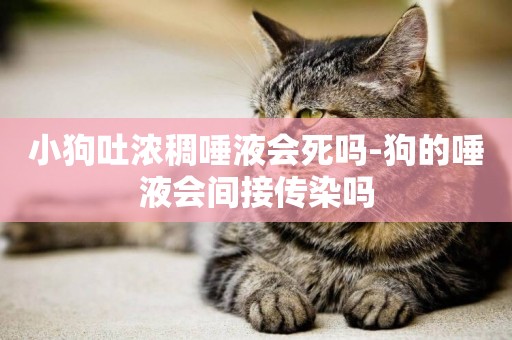 小狗吐濃稠唾液會死嗎-狗的唾液會間接傳染嗎
