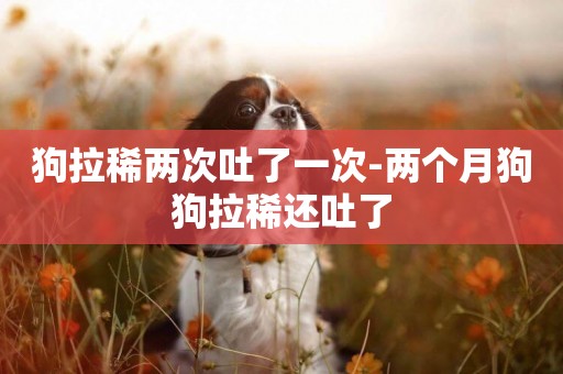 狗拉稀兩次吐了一次-兩個月狗狗拉稀還吐了