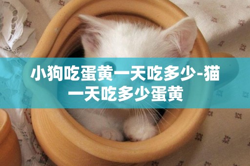 小狗吃蛋黃一天吃多少-貓一天吃多少蛋黃