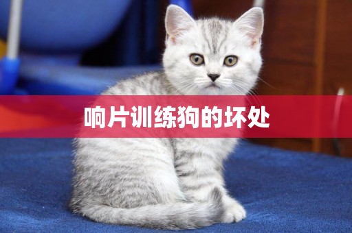 響片訓練狗的壞處