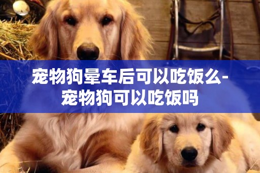 寵物狗暈車后可以吃飯么-寵物狗可以吃飯嗎