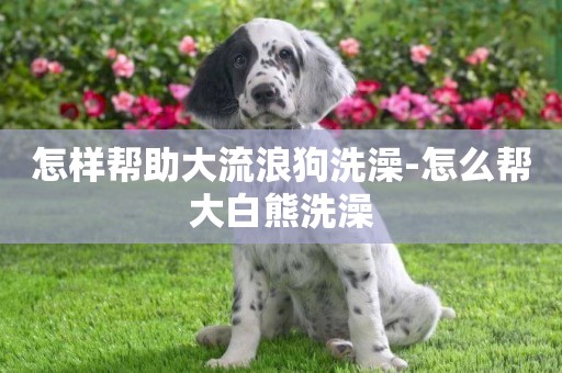 怎樣幫助大流浪狗洗澡-怎么幫大白熊洗澡