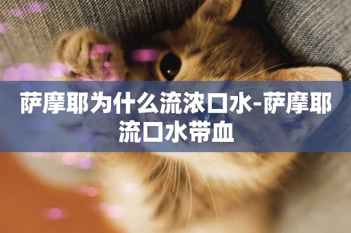 薩摩耶為什么流濃口水-薩摩耶流口水帶血