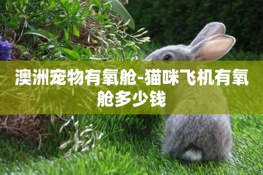 澳洲寵物有氧艙-貓咪飛機有氧艙多少錢