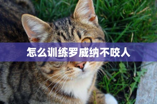 怎么訓練羅威納不咬人