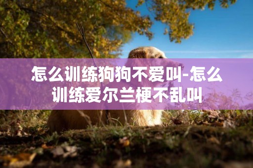 怎么訓練狗狗不愛叫-怎么訓練愛爾蘭梗不亂叫