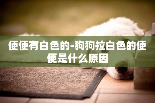 便便有白色的-狗狗拉白色的便便是什么原因