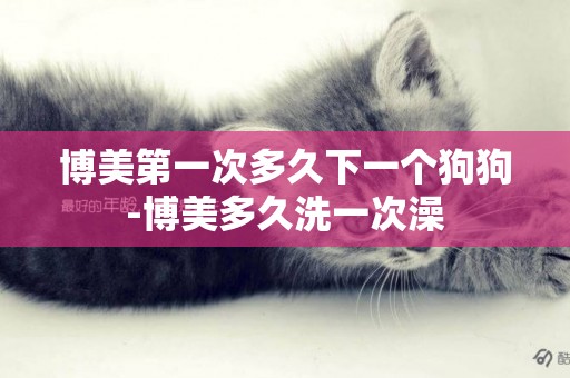 博美第一次多久下一個狗狗-博美多久洗一次澡