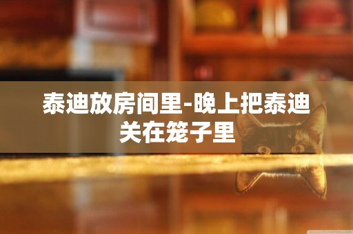 泰迪放房間里-晚上把泰迪關在籠子里