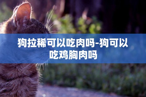 狗拉稀可以吃肉嗎-狗可以吃雞胸肉嗎