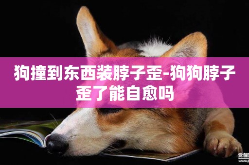 狗撞到東西裝脖子歪-狗狗脖子歪了能自愈嗎