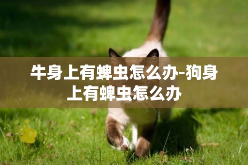 牛身上有蜱蟲怎么辦-狗身上有蜱蟲怎么辦