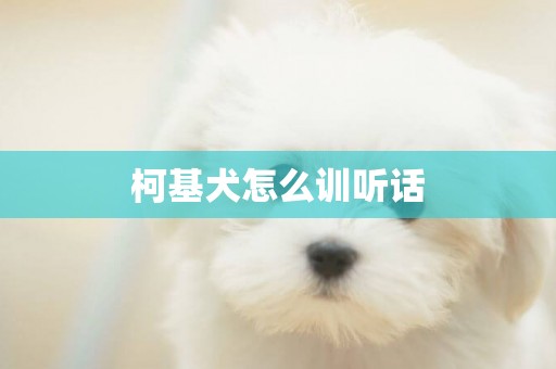 柯基犬怎么訓聽話