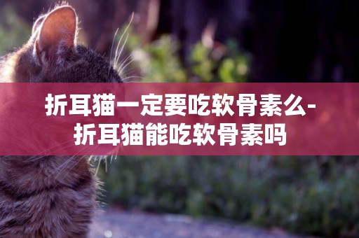 折耳貓一定要吃軟骨素么-折耳貓能吃軟骨素嗎