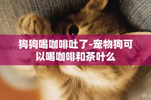 狗狗喝咖啡吐了-寵物狗可以喝咖啡和茶葉么
