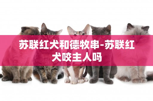 蘇聯紅犬和德牧串-蘇聯紅犬咬主人嗎