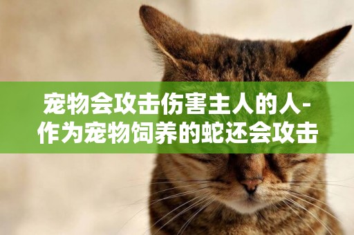 寵物會攻擊傷害主人的人-作為寵物飼養的蛇還會攻擊主人嗎