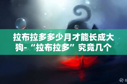 拉布拉多多少月才能長成大狗-“拉布拉多”究竟幾個月長成大狗呢