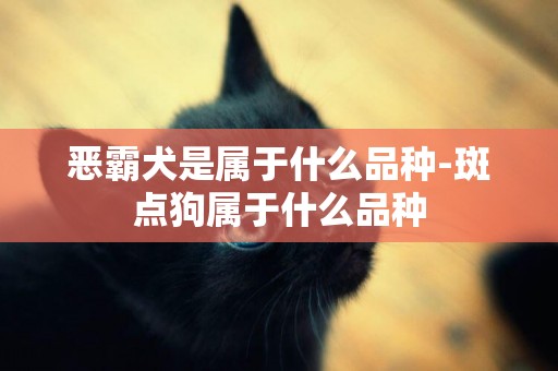 惡霸犬是屬于什么品種-斑點狗屬于什么品種