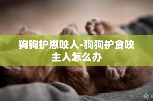 狗狗護崽咬人-狗狗護食咬主人怎么辦