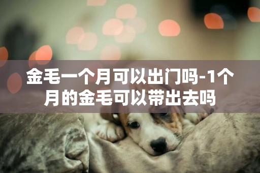 金毛一個月可以出門嗎-1個月的金毛可以帶出去嗎