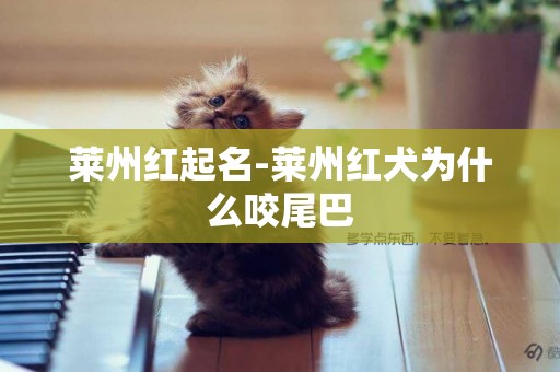 萊州紅起名-萊州紅犬為什么咬尾巴