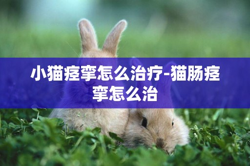 小貓痙攣怎么治療-貓腸痙攣怎么治