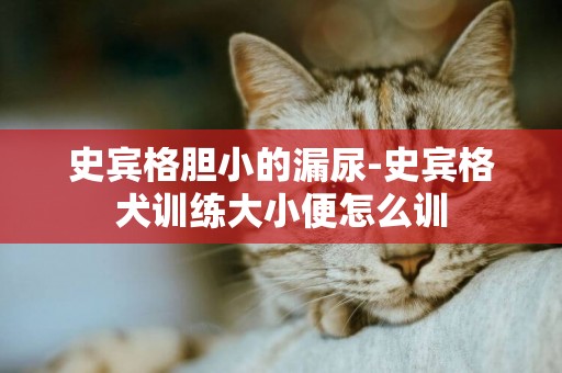 史賓格膽小的漏尿-史賓格犬訓練大小便怎么訓