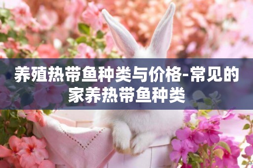 養殖熱帶魚種類與價格-常見的家養熱帶魚種類