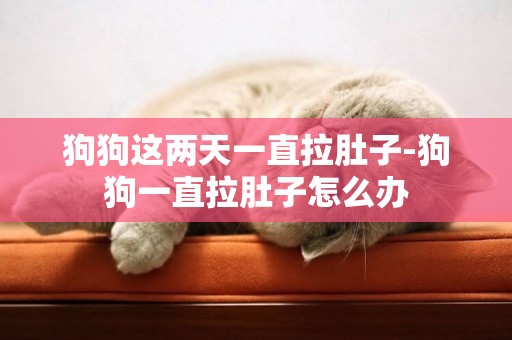 狗狗這兩天一直拉肚子-狗狗一直拉肚子怎么辦