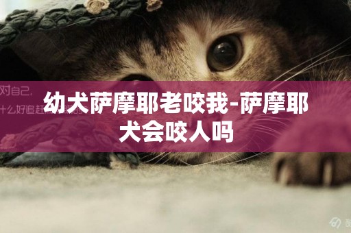幼犬薩摩耶老咬我-薩摩耶犬會咬人嗎
