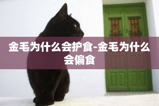 金毛為什么會護食-金毛為什么會偏食