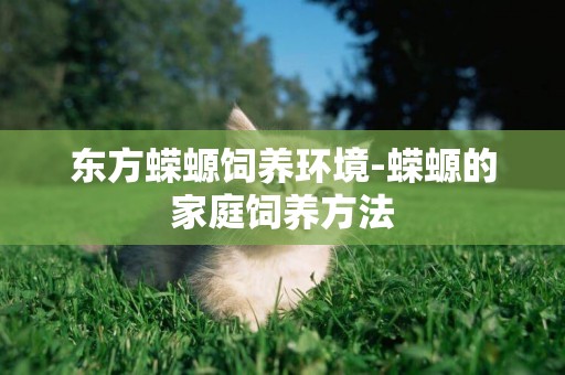 東方蠑螈飼養環境-蠑螈的家庭飼養方法